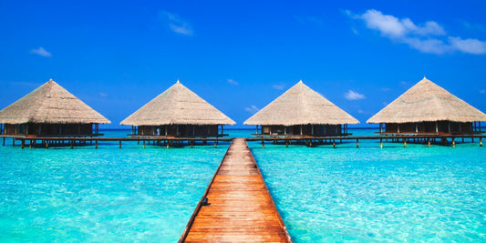 🏝️ Zanzibar: O guia completo para descobrir um dos paraísos mais fascinantes do Oceano Índico